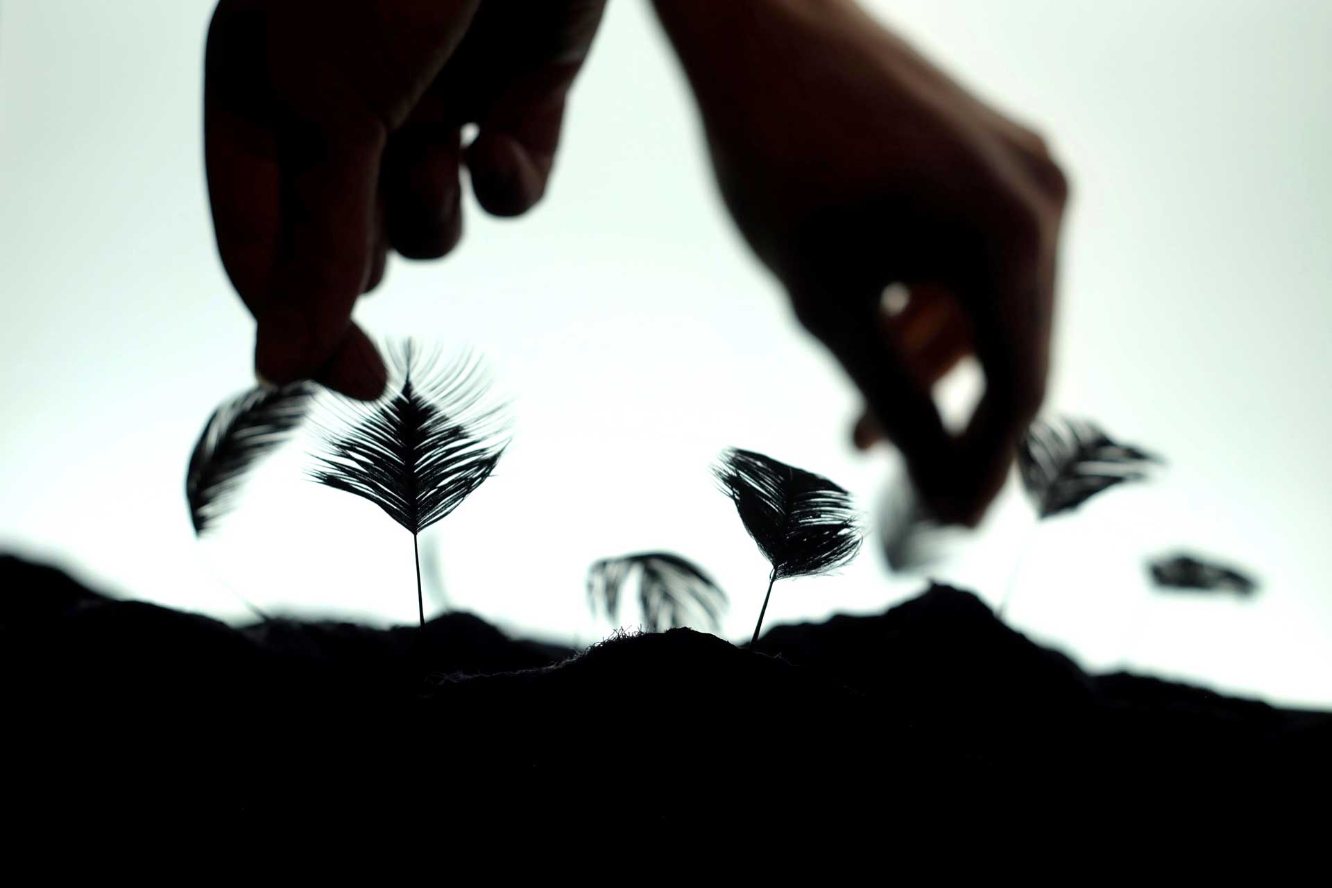 Hands touching protruding feathers.